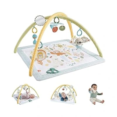 Fisher-Price Simply Senses Newborn Play Gym