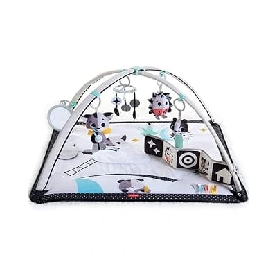 Tiny Love Black & White Gymini Activity Gym